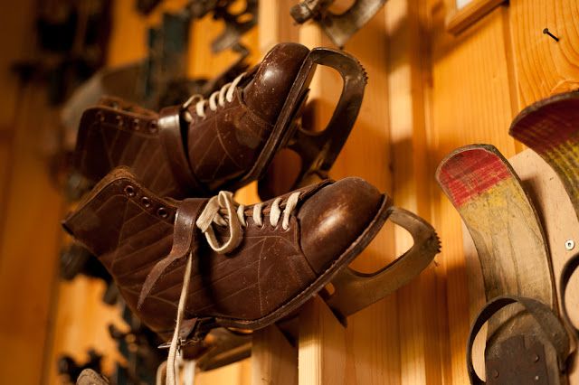 Skates With Shoes
