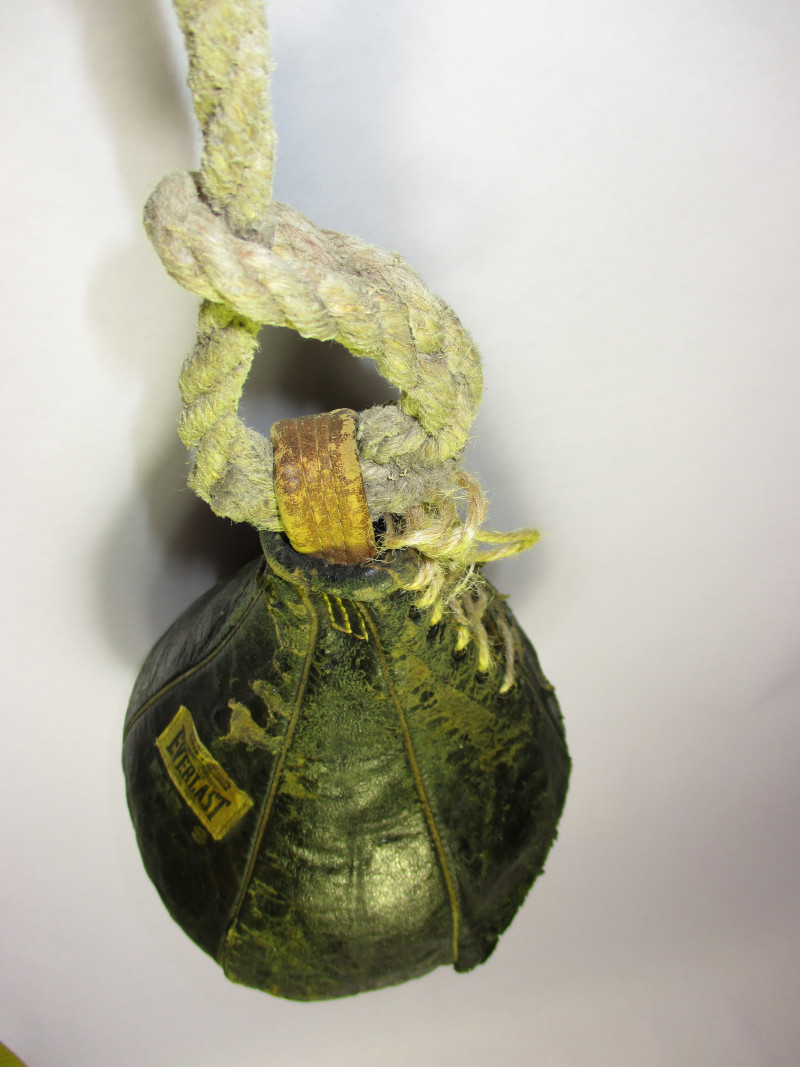 Boxing Bag